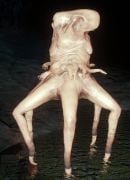 The Forest - bestiariusz 7 130px Spider Mutant60